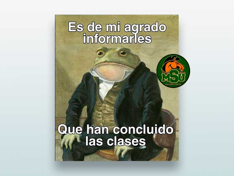 Es de mi agrado informarles...