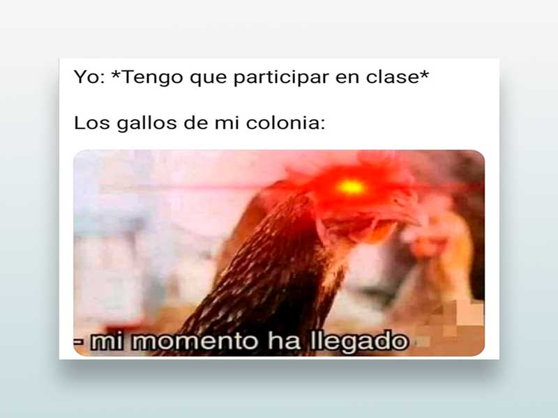 Tengo que participar en clase...