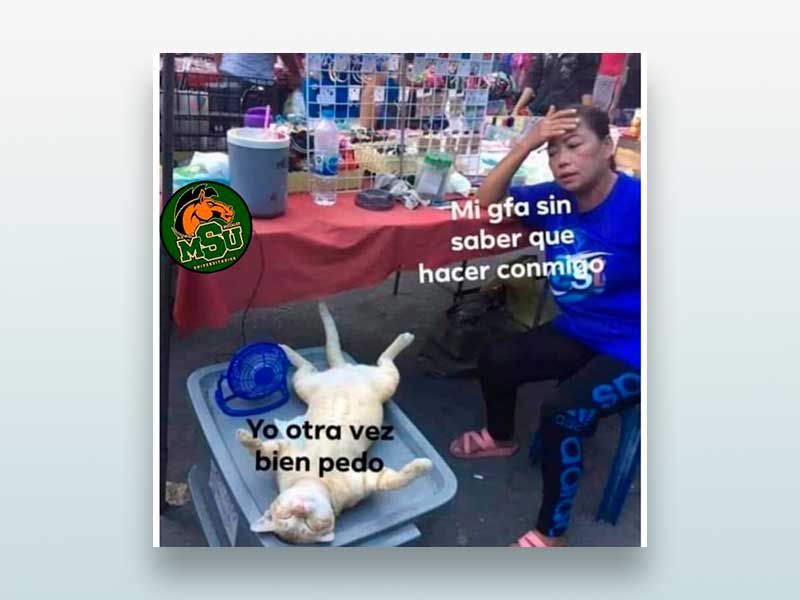 Mi jefa sin saber que hacer conmigo