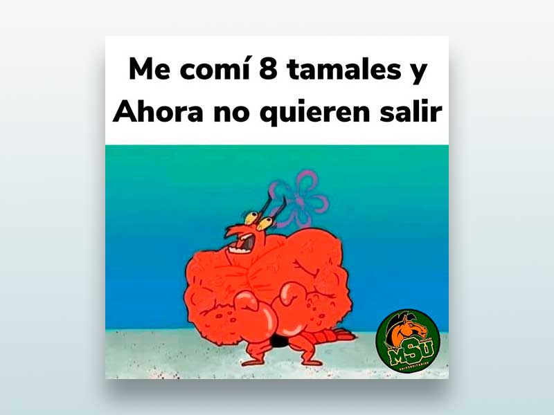 Me comí 8 tamales