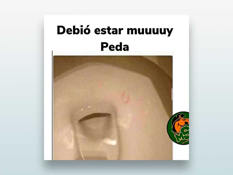 Debió estar muy peda