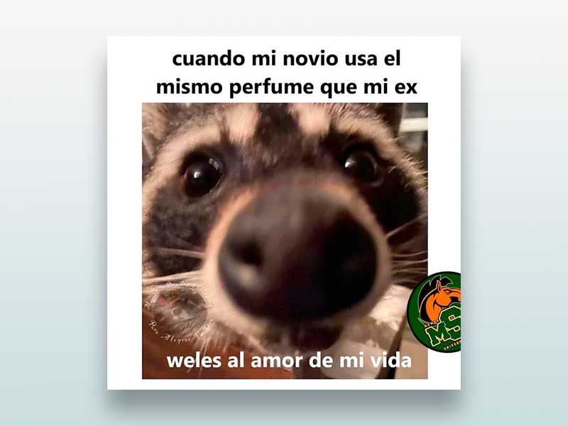 Cuando mi novio usa el mismo perfume