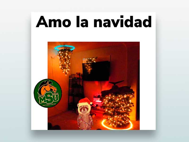 Amo la navidad...