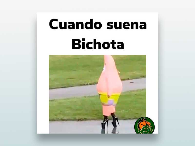 Cuando suena bichota