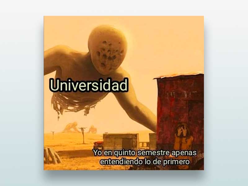 Universidad