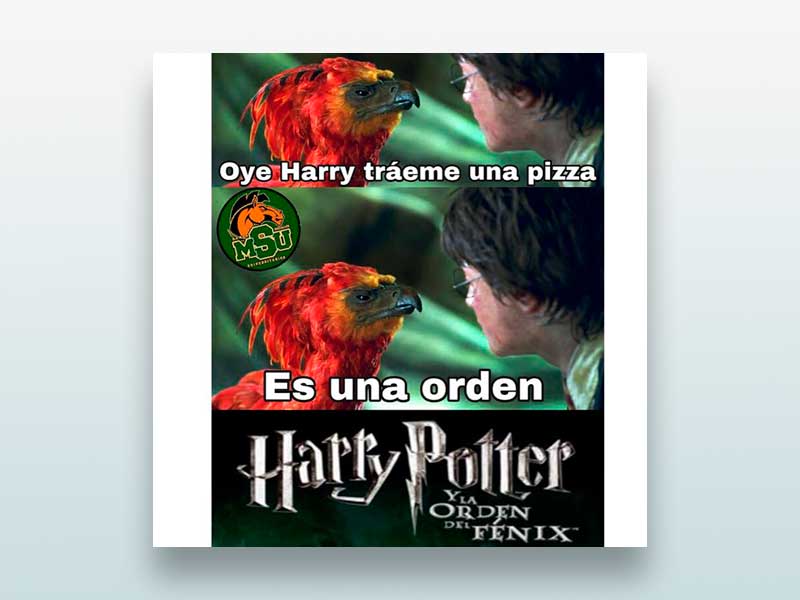 Oye Harry tráeme una pizza