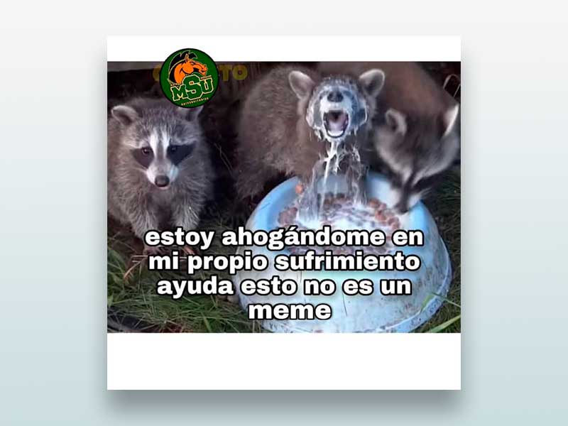 Estoy ahogándome en mi propio sufrimiento