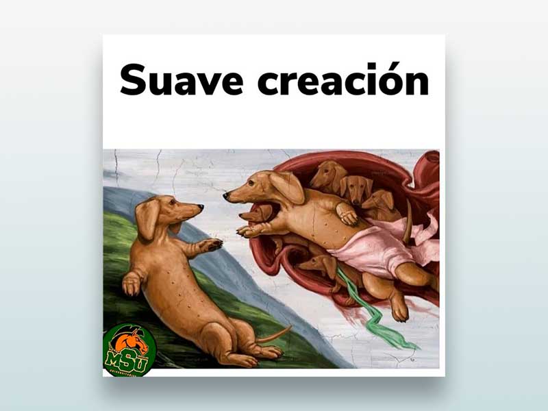 Suave creación