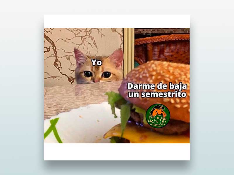 Darme de baja un semestrito