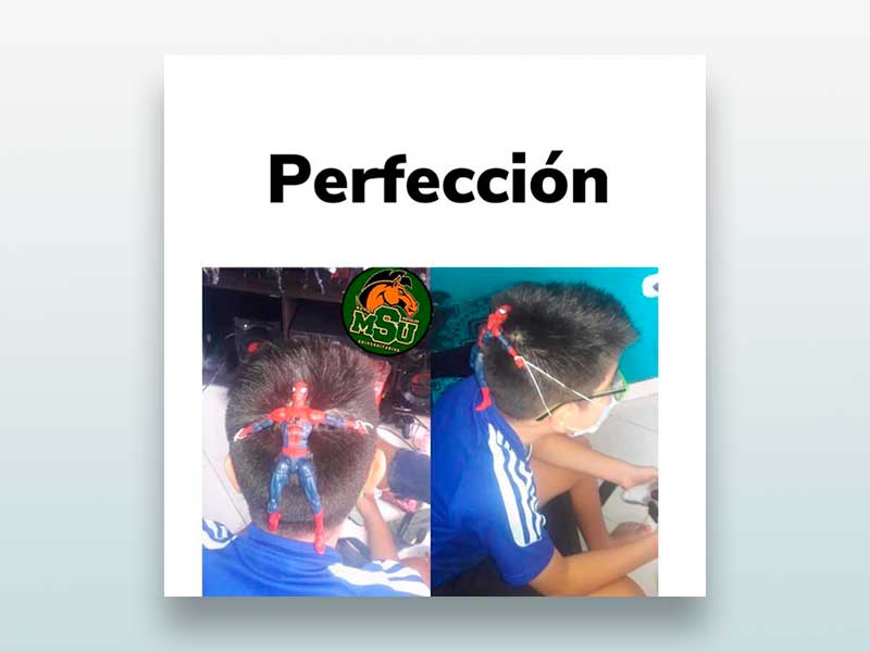 Perfección