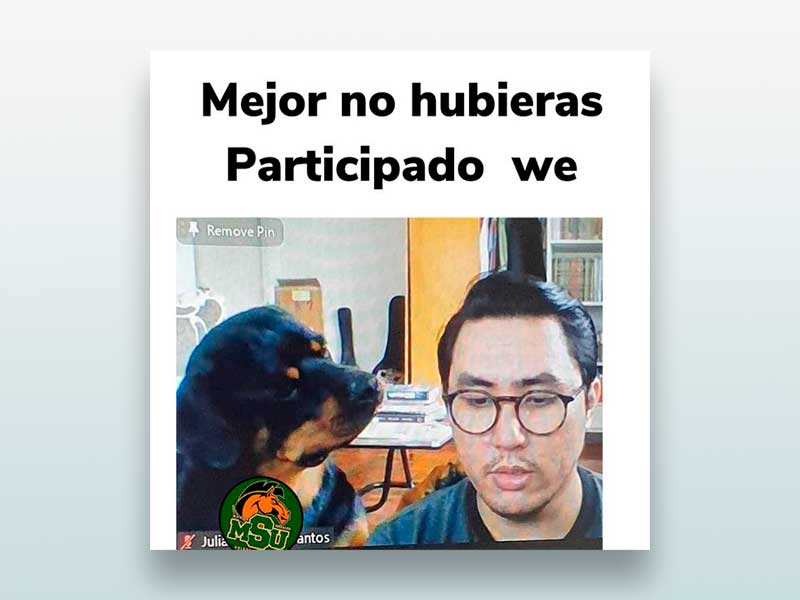 Mejor no hubieras participado