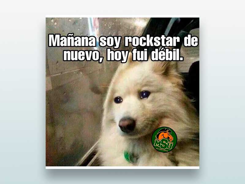 Mañana soy rockstar de nuevo