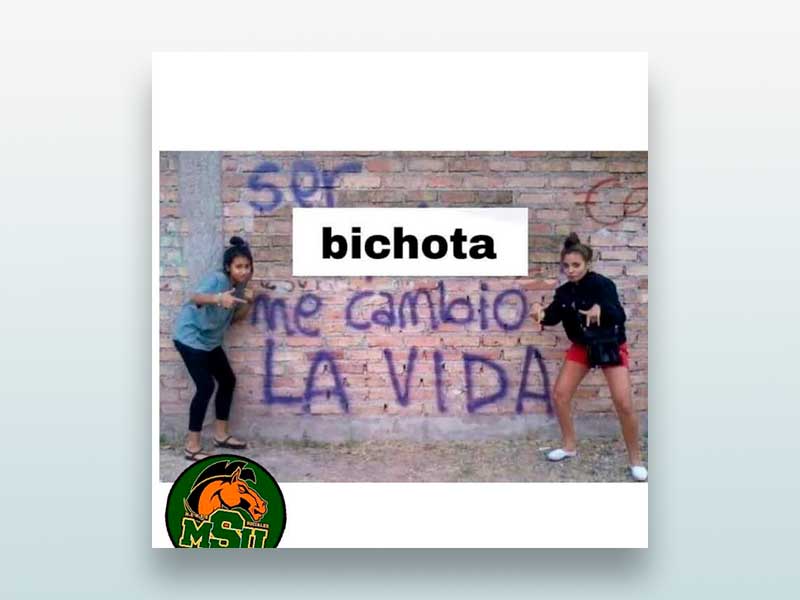 Bichota