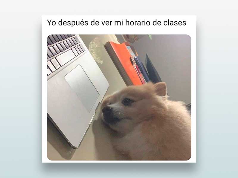 Yo después de ver mi horario de clases