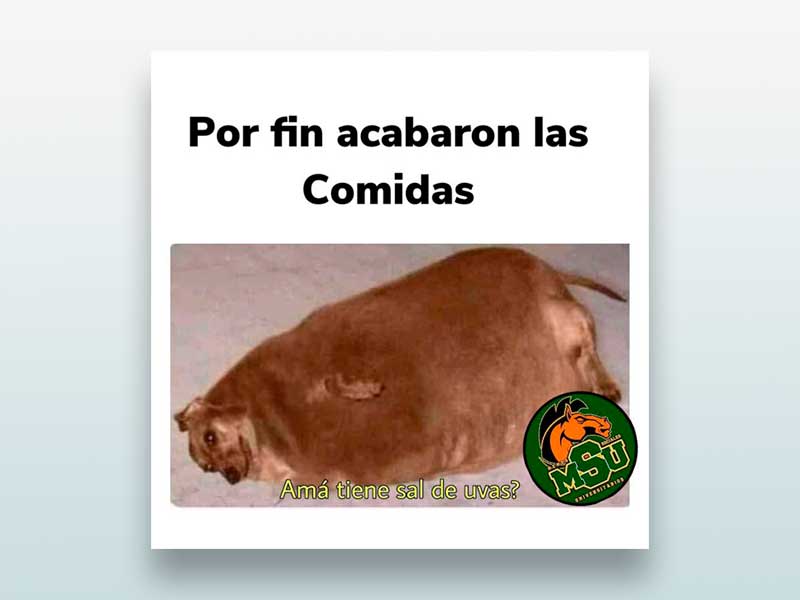 Por fin acabaron las comidas