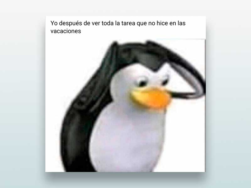 Yo después de ver toda la tarea 