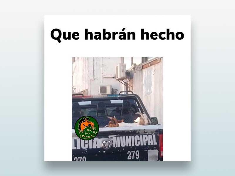 Que habrán hecho