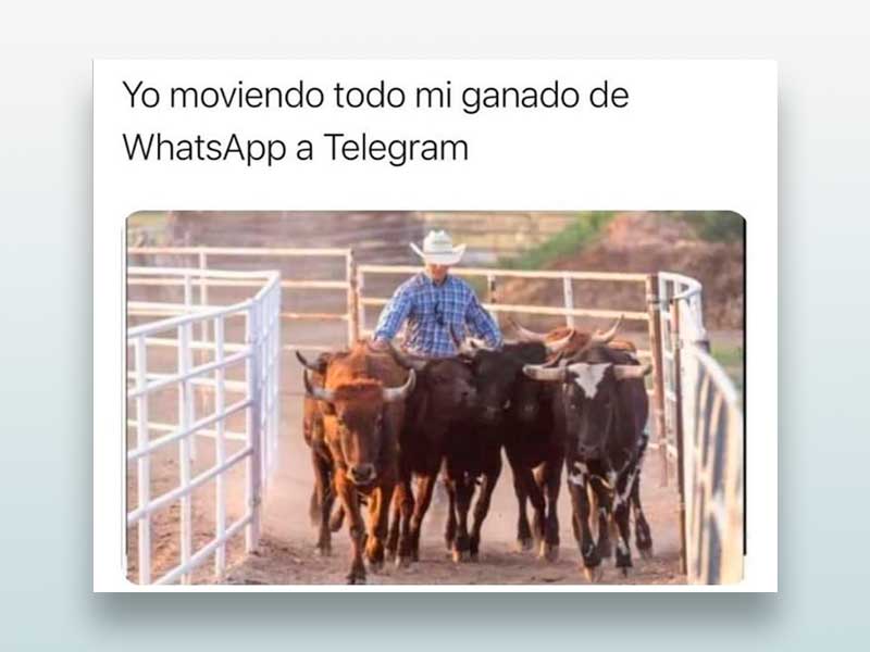 Yo moviendo todo mi ganado