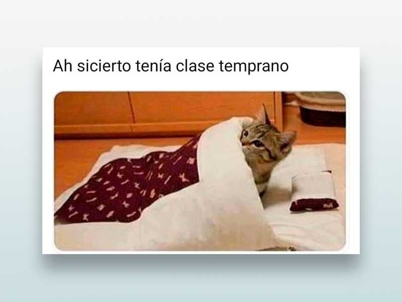 Ah si cierto tenía clase temprano