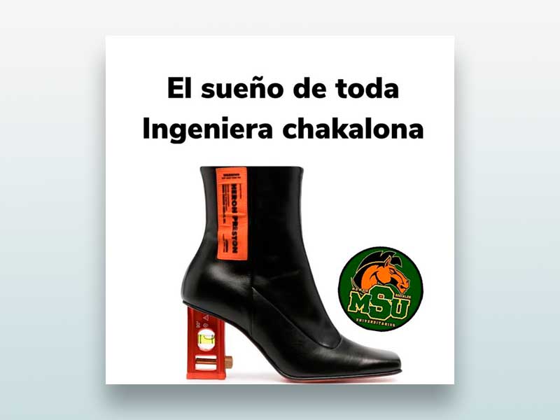 El sueño de toda Ingeniera