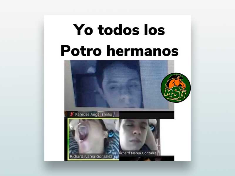 Yo todos los potro hermanos