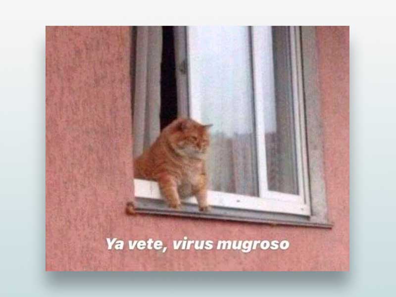 Ya vete, virus mugroso