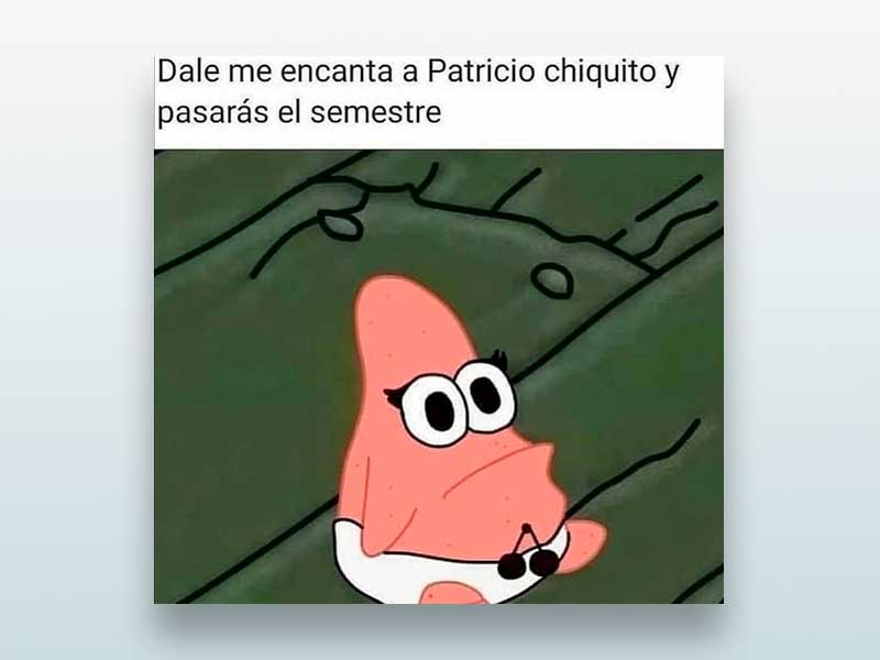 Dale me gusta a Patricio chiquito