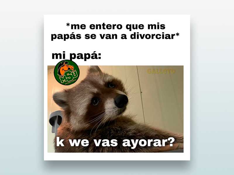 Me entero que mis papás se van a divorciar