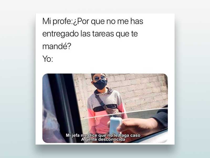 ¿Por que no me has entregado las tareas que te mandé?