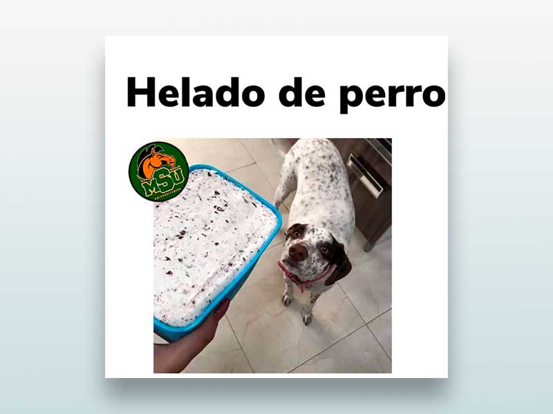 Helado de perro