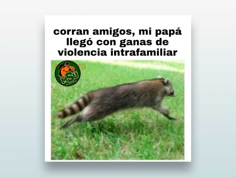 Corran amigos