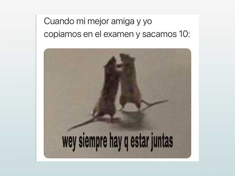 Cuando mi mejor amiga y yo copiamos en el examen