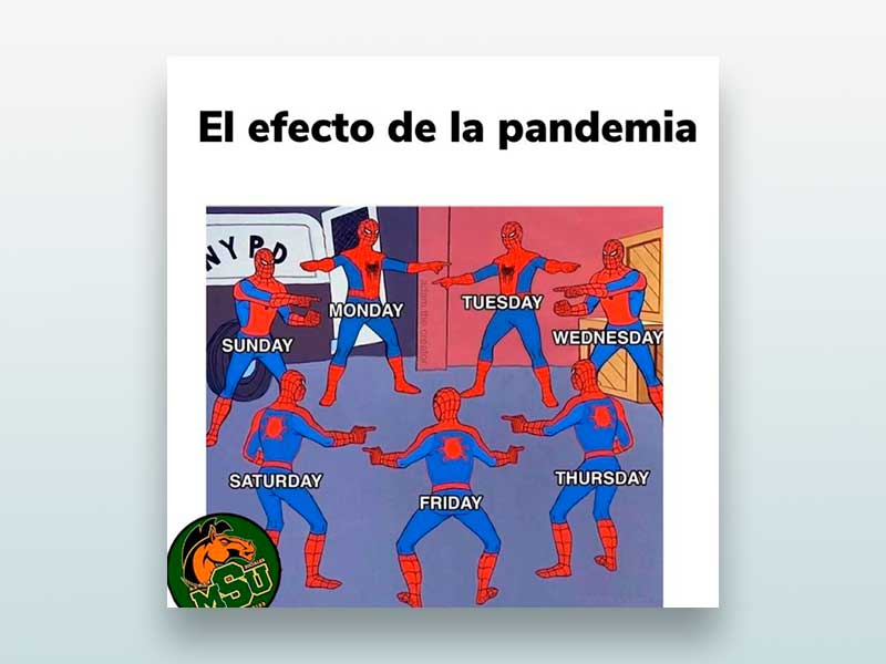 El efecto de la pandemia