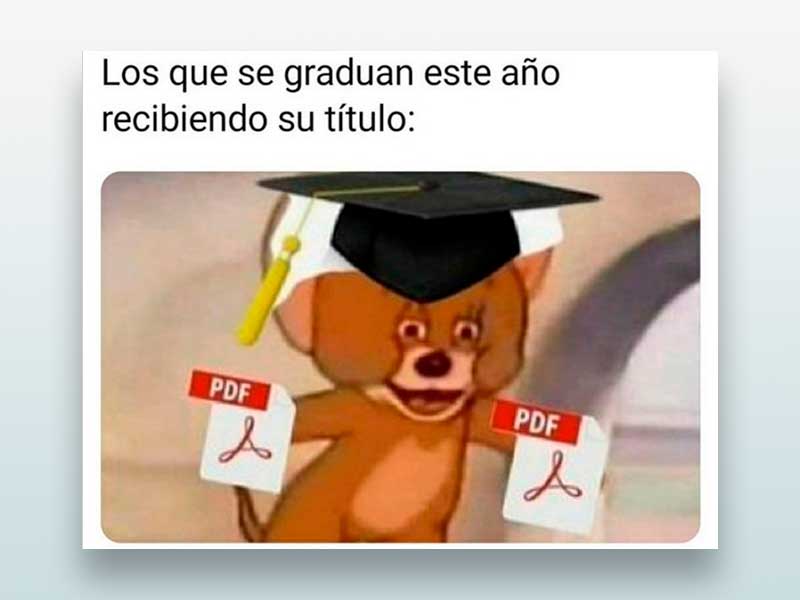 Los que se graduan este año