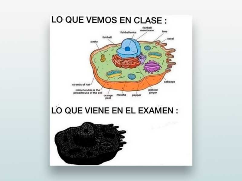 Lo que vemos en clase