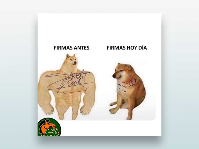 Firmas