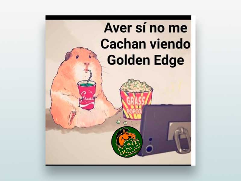 A ver si no me cachan viendo Golden Edge