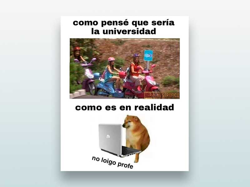 Como pensé que seria la universidad