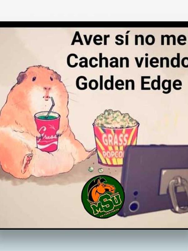 A ver si no me cachan viendo Golden Edge