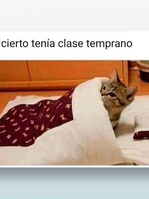 Ah si cierto tenía clase temprano