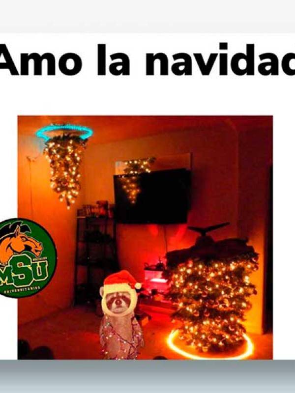 Amo la navidad...