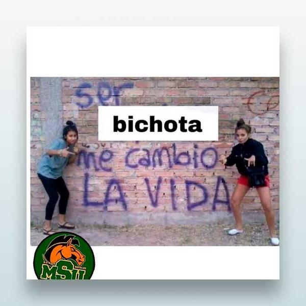 Bichota