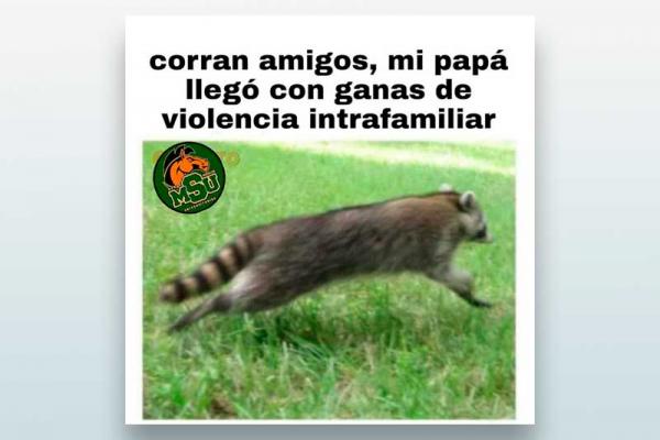 Corran amigos