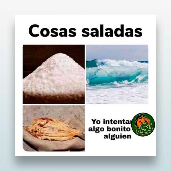 Cosas saladas