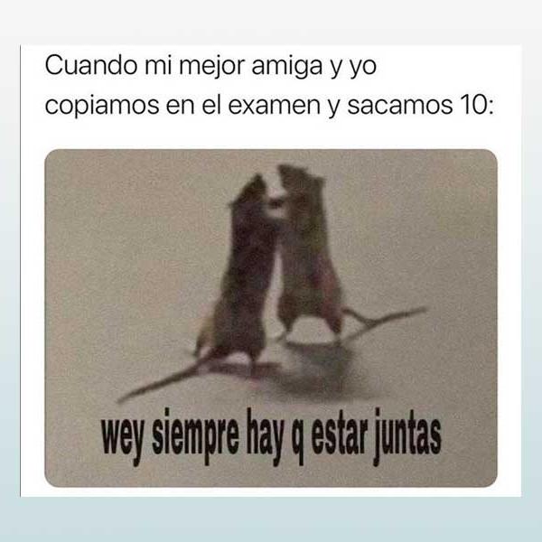 Cuando mi mejor amiga y yo copiamos en el examen