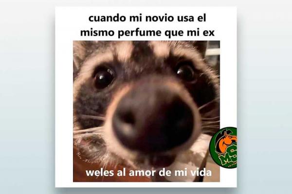 Cuando mi novio usa el mismo perfume