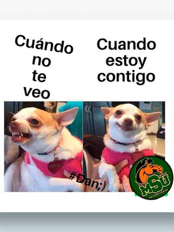 Cuando no te veo