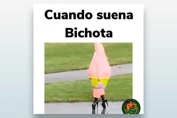 Cuando suena bichota