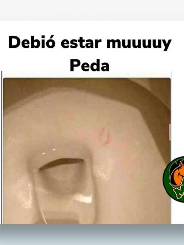 Debió estar muy peda