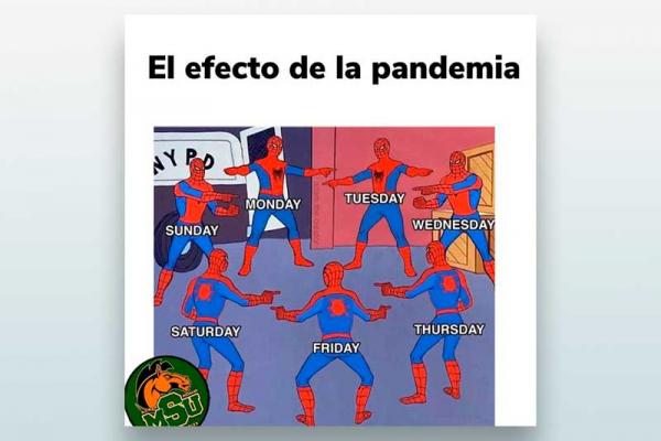 El efecto de la pandemia